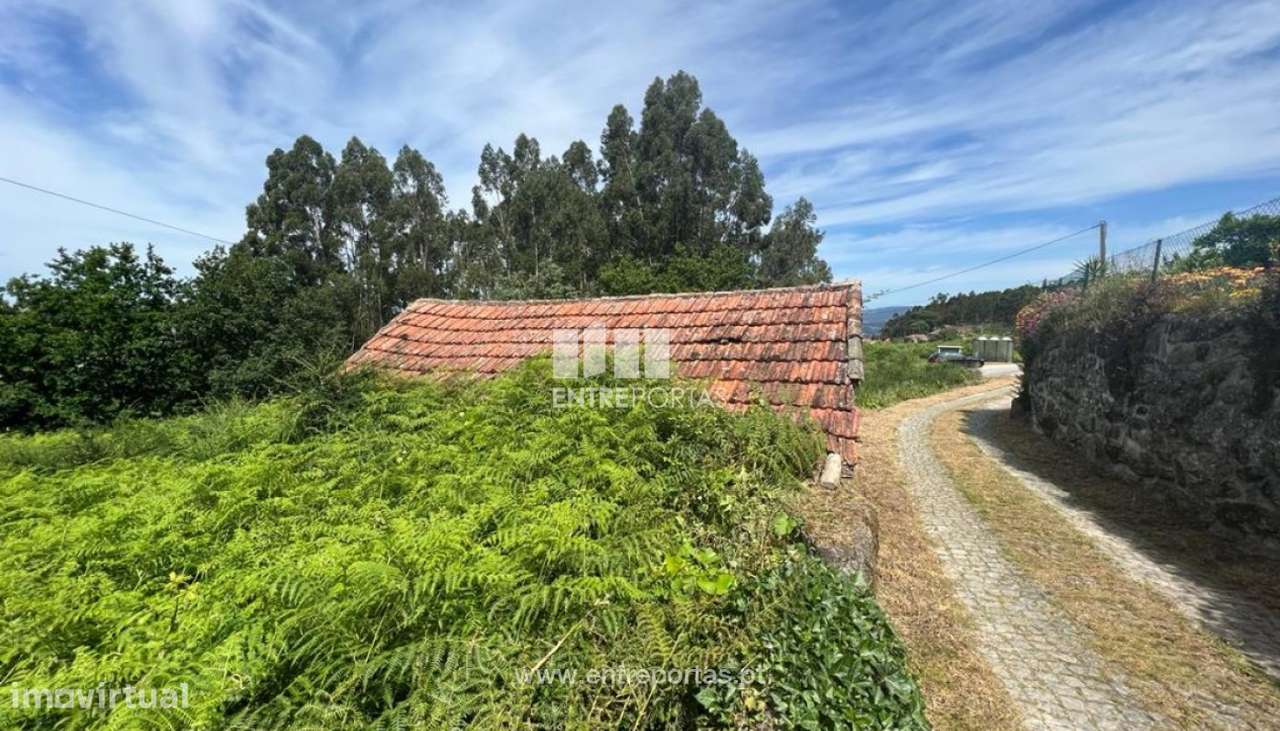 Venda Moradia para Reconstruir, São Simão, Amarante - Grande imagem: 4/39