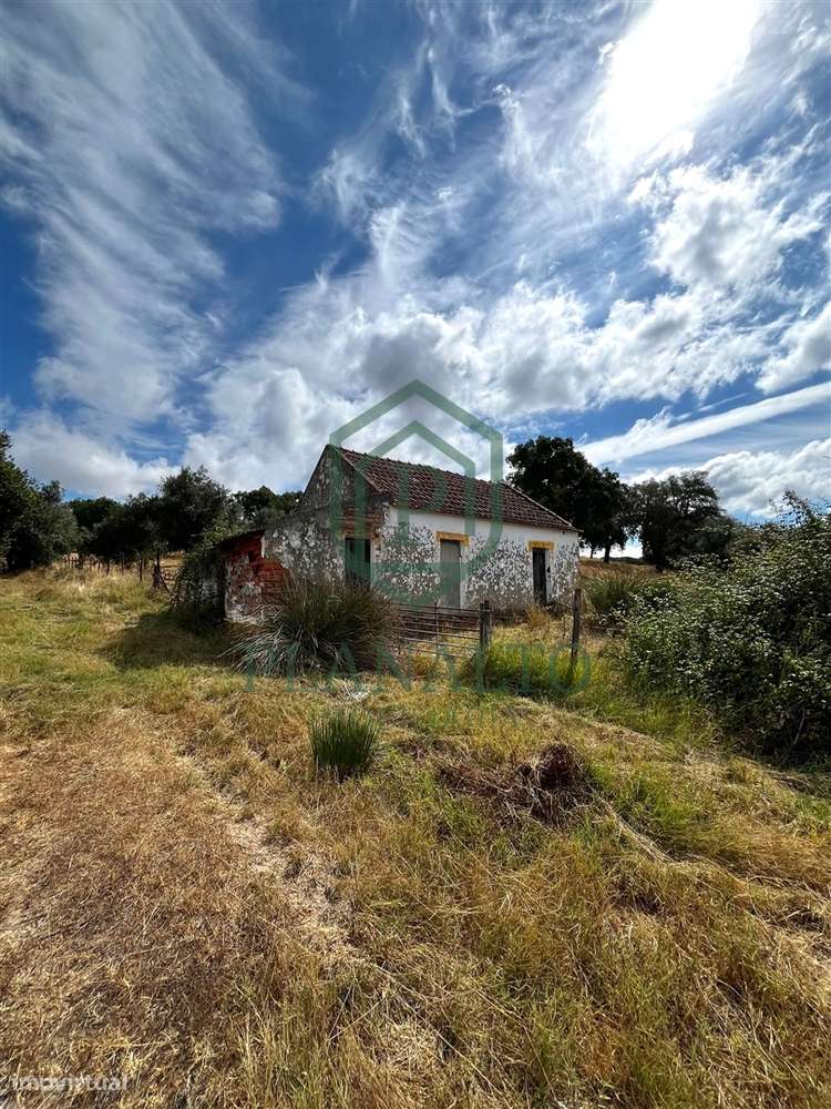 Quinta >=T10 Venda em Cortiçadas de Lavre e Lavre,Montemor-o-Novo-33