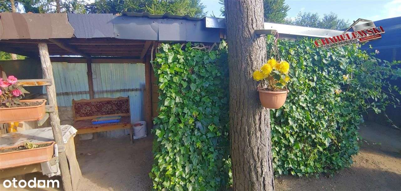 Mieszkanie 3 pokoje z garażem i ogródkiem - Kusice-15