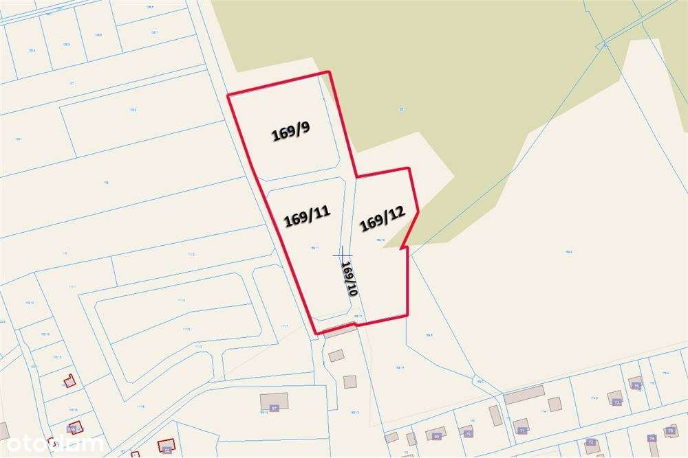 Działka budowlana 4 742 m2 Zakościele nad Pilicą - Pełny obrazek: 3/11