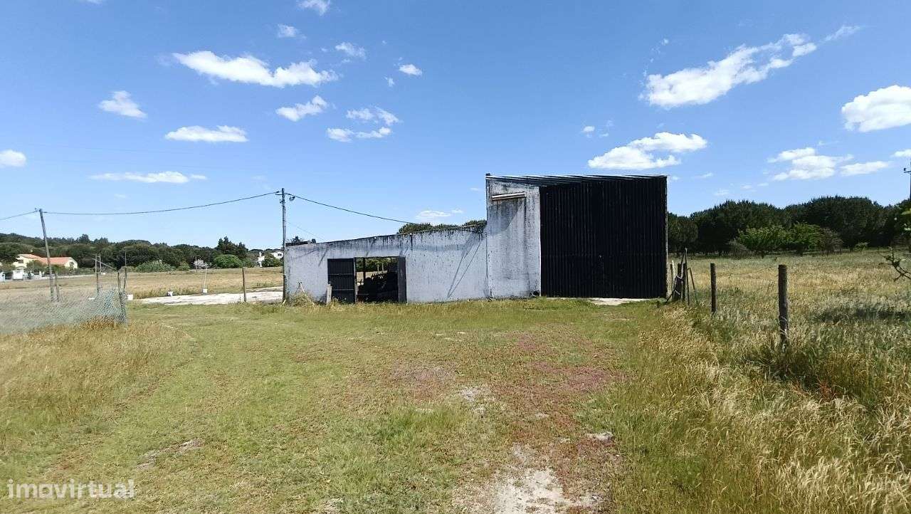 Quinta Pegões Velhos, junto á adega, com moradia e armazém lote 3,8 ha-45