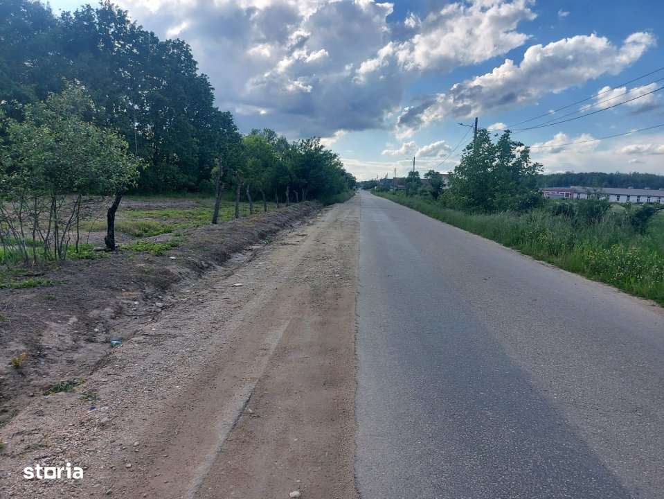 Teren intravilan 1843 mp - Cerbu/Albota/Arges - cu proiect de casa pe - Imagine principală: 4/8