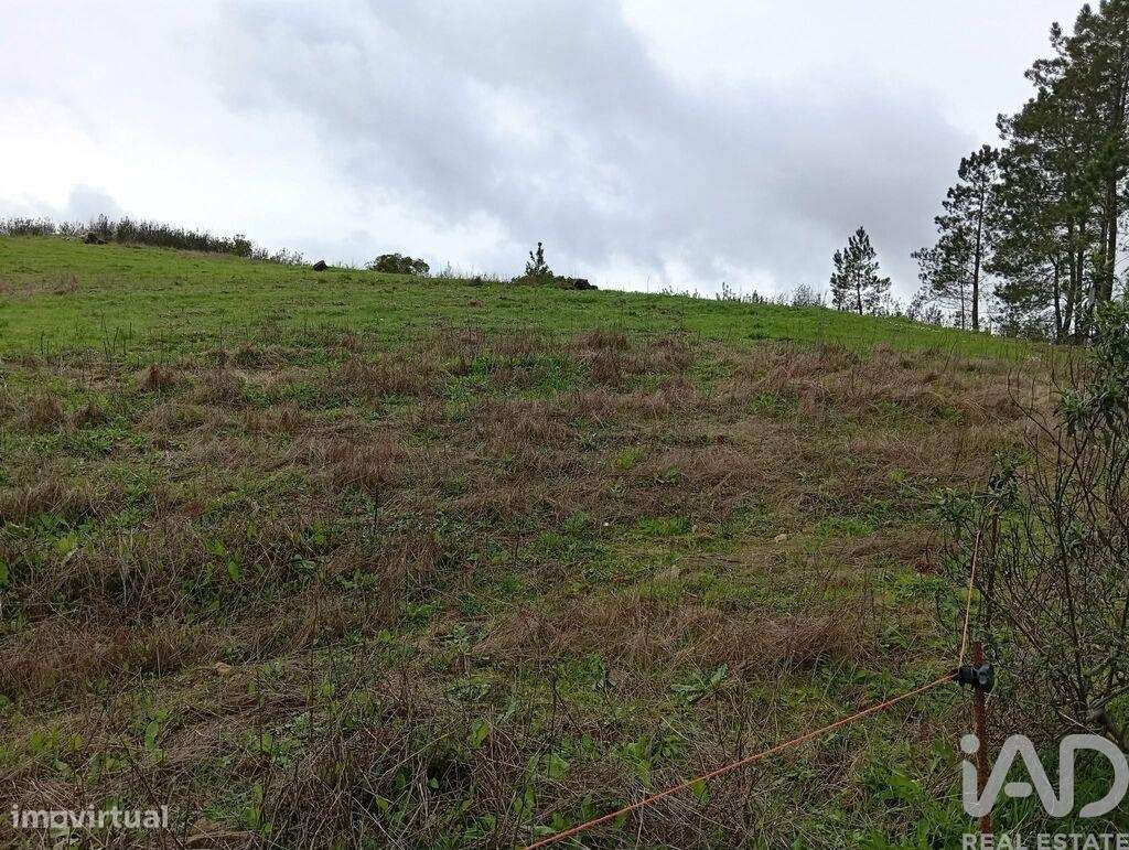 Terreno Agrícola em Ameixial - Grande imagem: 5/8