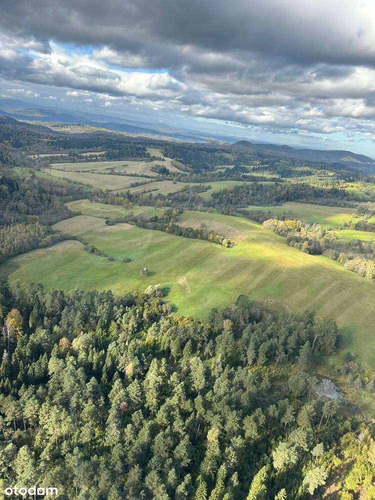 Widokowe działki Bieszczady OKAZJA - Pełny obrazek: 2/4