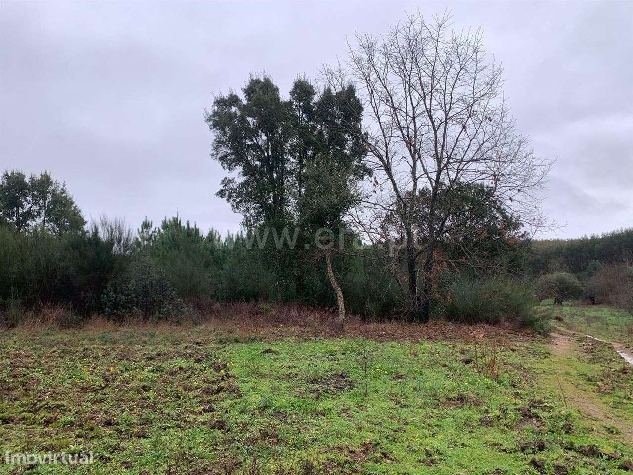 Terreno com ruina / Fundão, Fatela - Grande imagem: 5/19