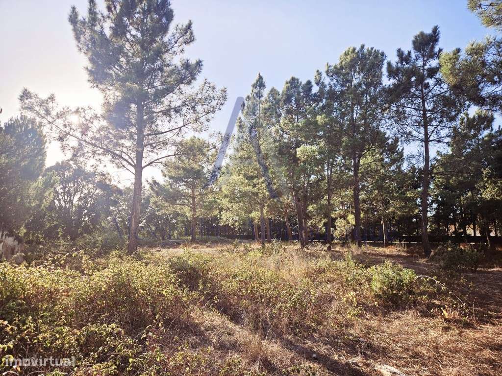 Excelente oportunidade de investimento ! - Grande imagem: 3/12