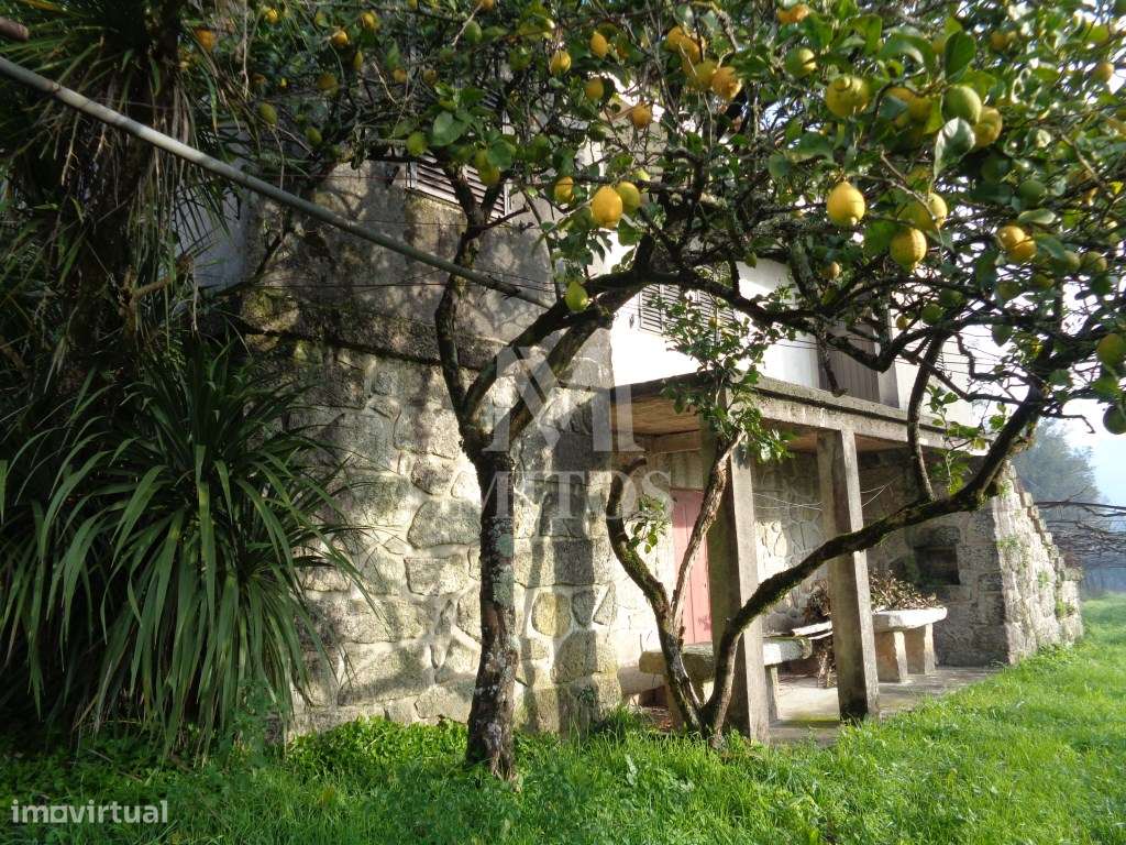 QUINTA - Serreleis, Viana do Castelo - Grande imagem: 4/13