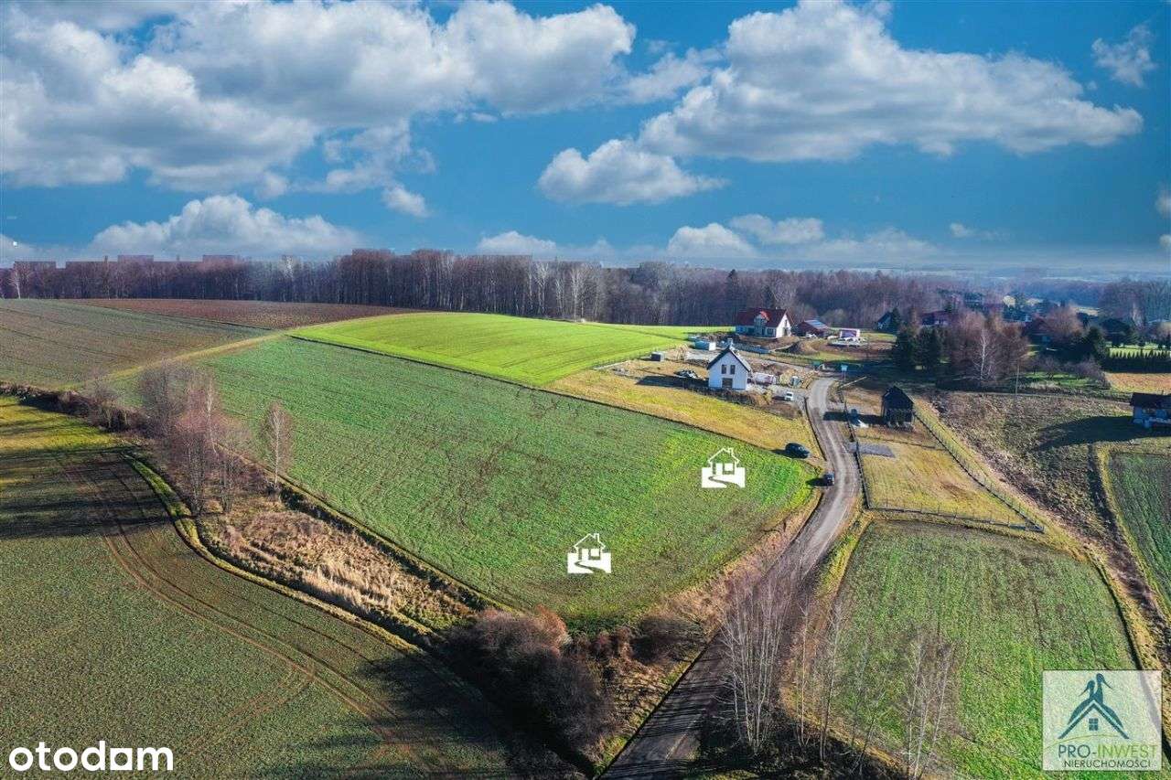Przestrzeń, znakomity dojazd, 10 km do Bielska - Pełny obrazek: 4/19