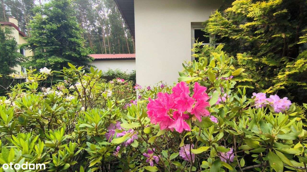 Styl Dworu.Piękny Dom.Zielona Okolica. Blisko Las. - Pełny obrazek: 4/19