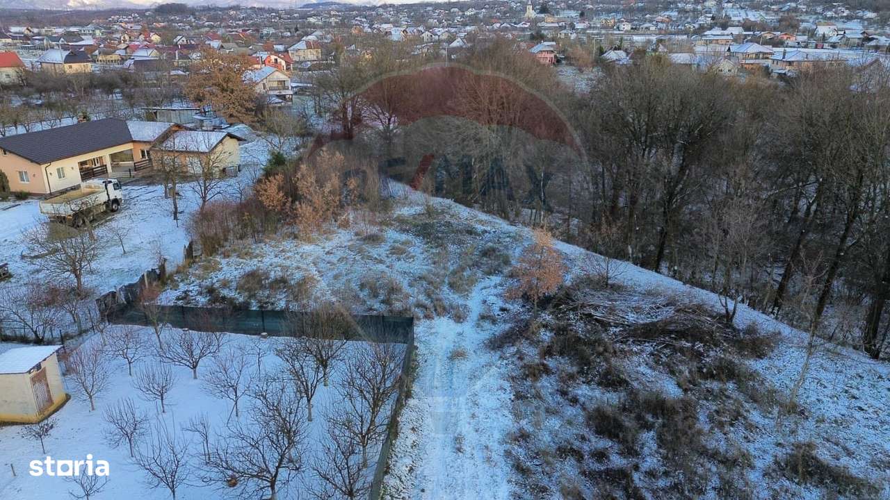 Teren 1,200mp si 400m2 cota drum Satu Nou de Jos / Strada Principala - Imagine principală: 4/12