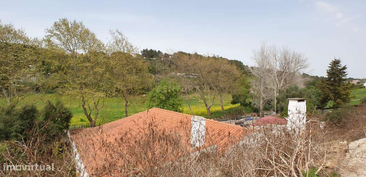 Quinta Centenária à venda em Caxias - Grande imagem: 3/54