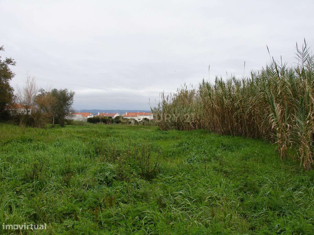 Terreno rústico em zona de construção Lavos, Figueira da Foz - Grande imagem: 5/7