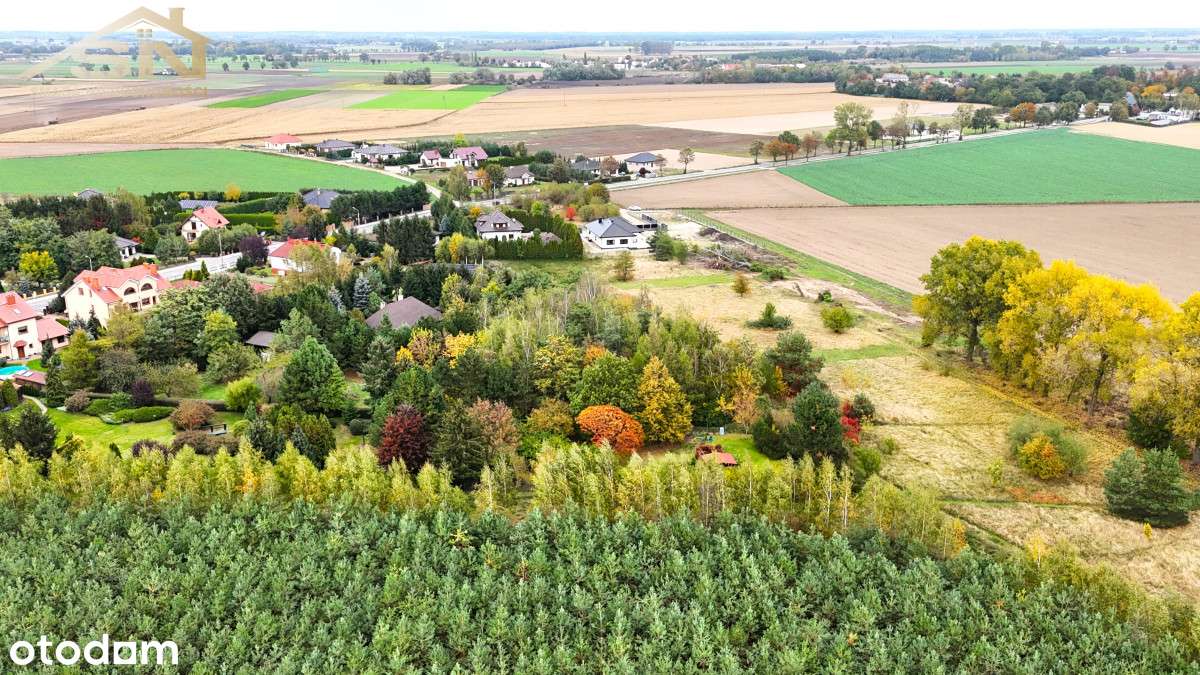 Ostatnie 3 działki, blisko do lasu! - Pełny obrazek: 5/6