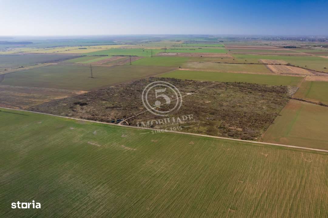 Ocazie- Teren Intravilan de Vanzare- Peris Snagov- Doar 10 euro/mp-8