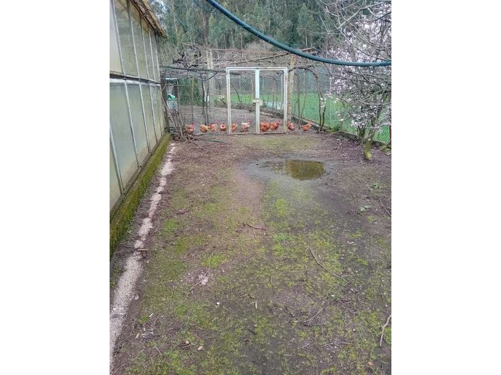 Quinta em Vila Nova de Famalicão - Gondifelos | 6.000 m² de Terreno...-20