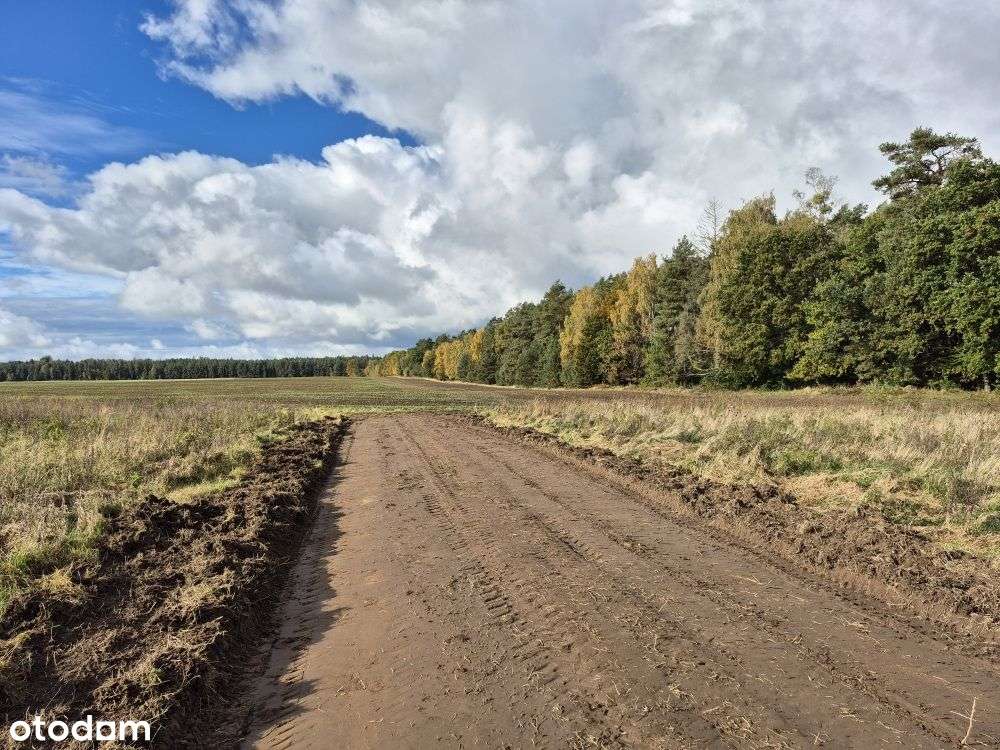 Działki Budowlane Przy Lesie Państwowym - Pełny obrazek: 3/6