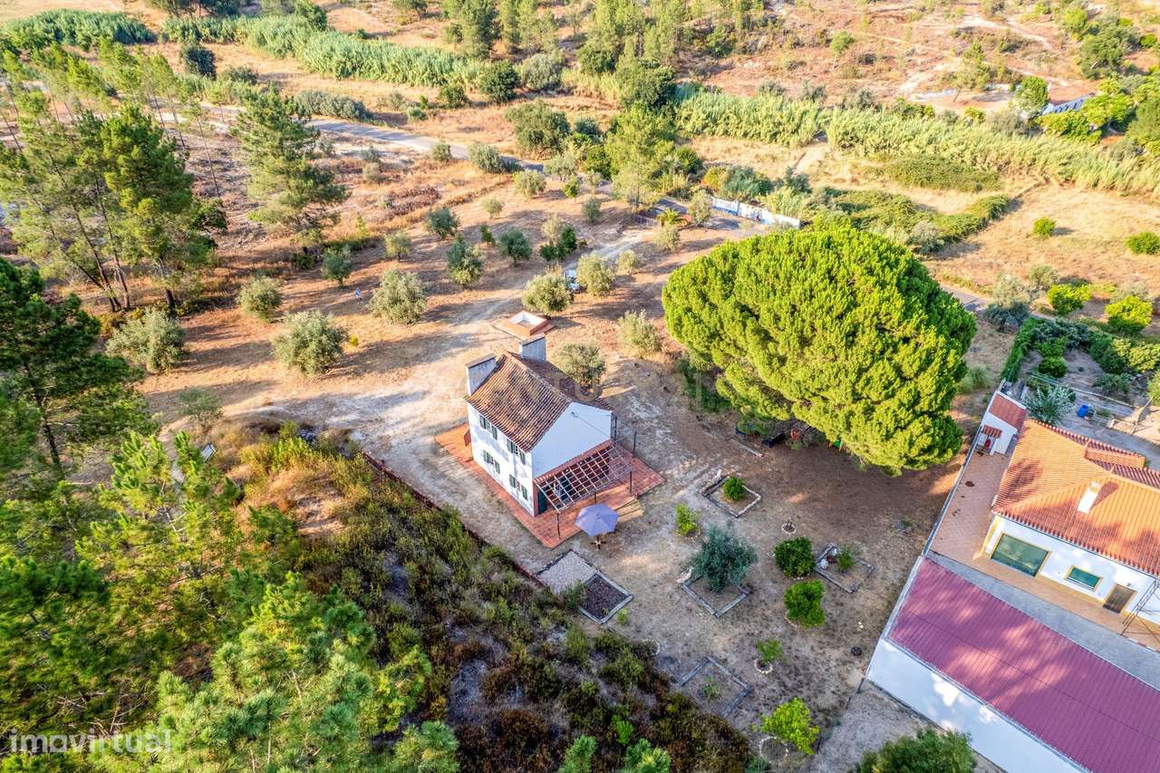 Moradia em Farinha Branca, Montargil-25