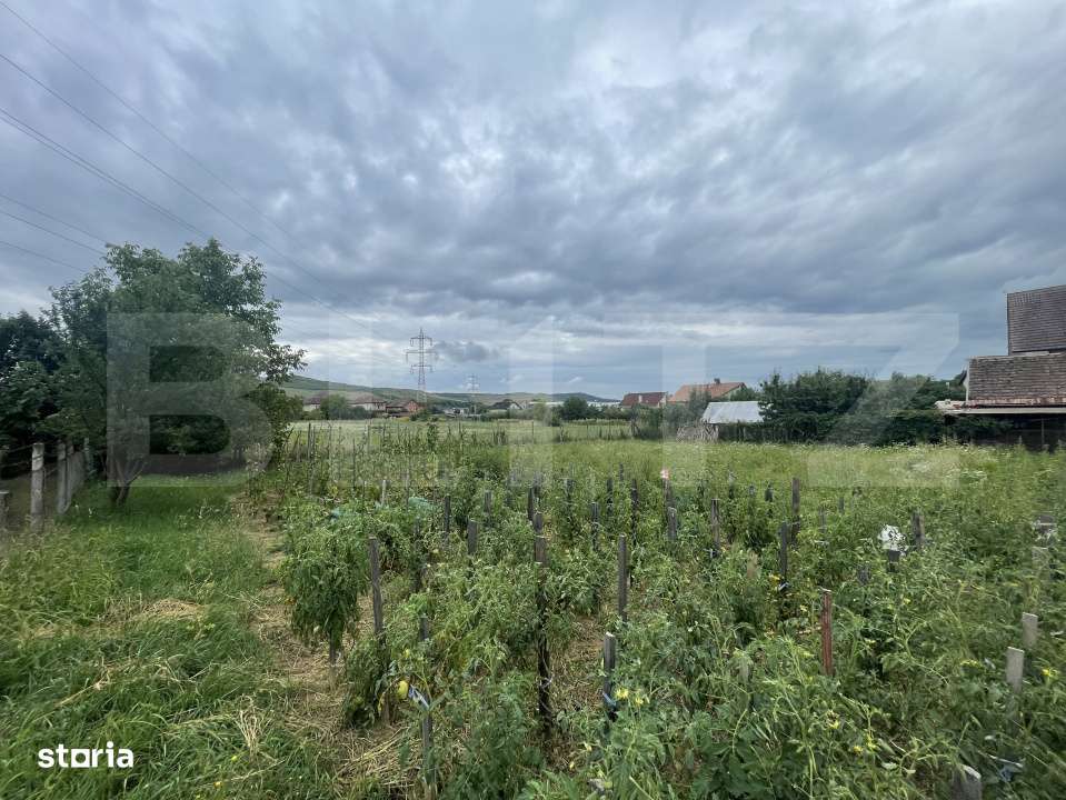 Teren intravilan in doar 10m de la DN17 – perfect pentru casa - Imagine principală: 2/3