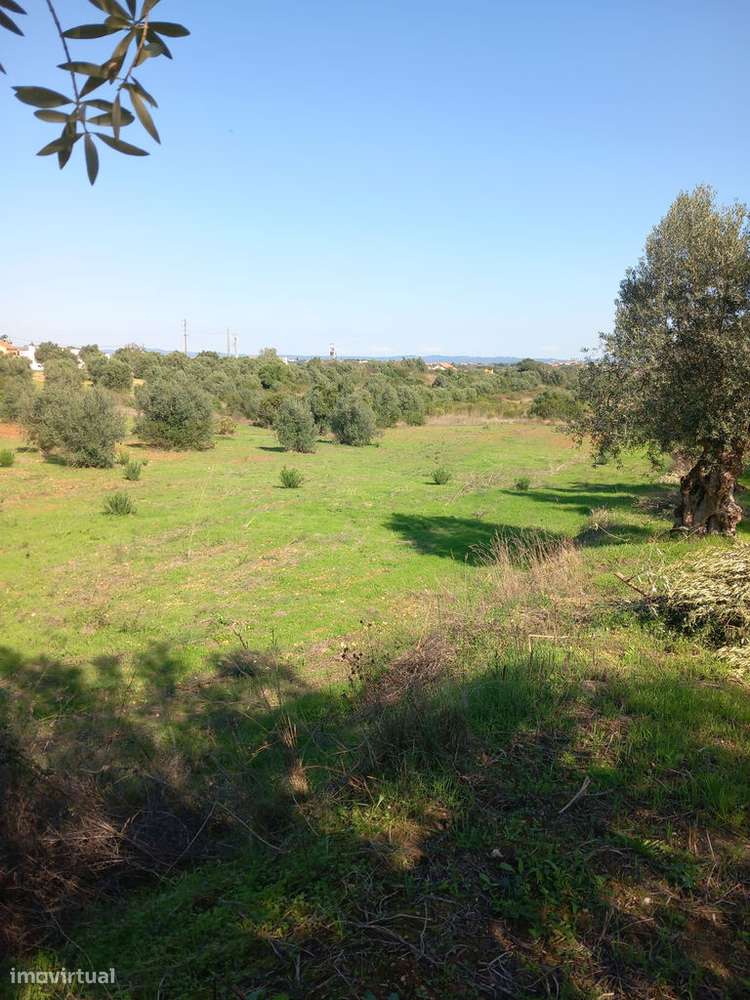 Venda Terreno - Grande imagem: 4/7