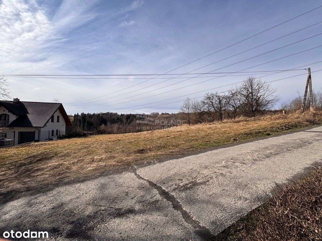 Pogwizdów widokowa działka budowlano-rolna 55arów - Pełny obrazek: 4/6