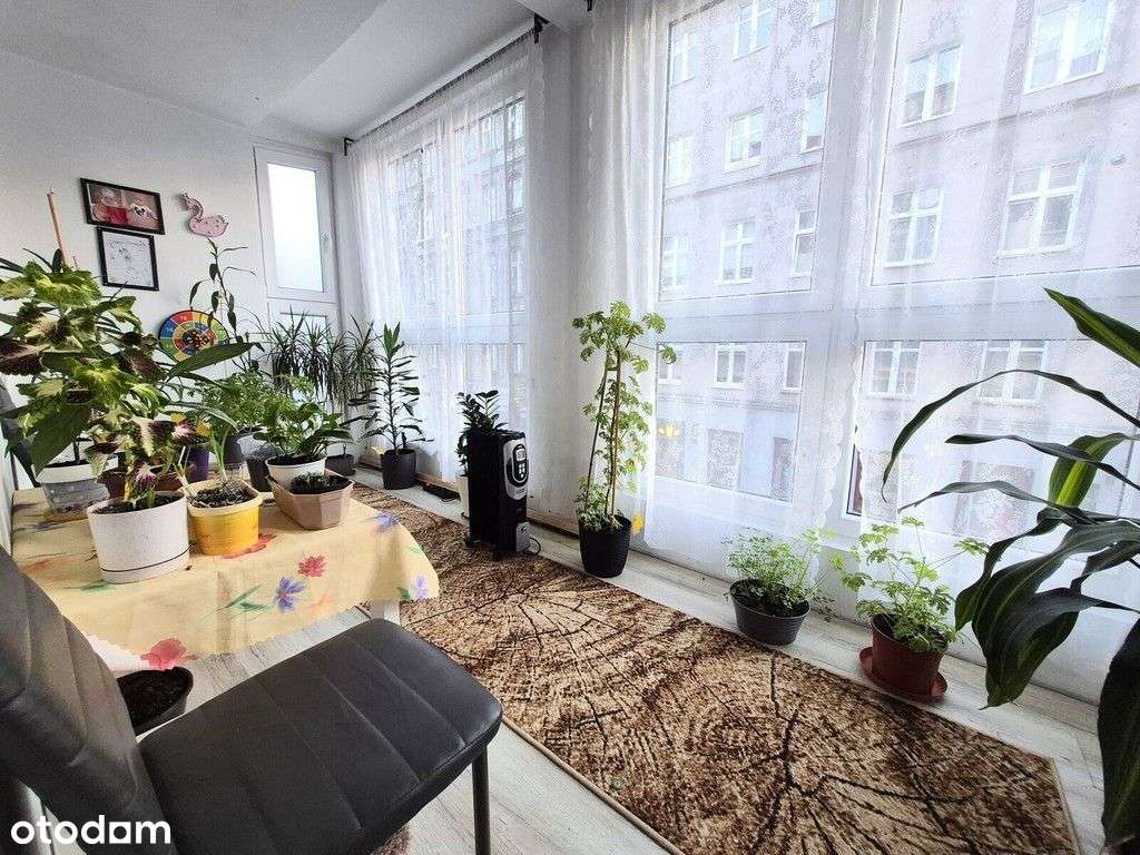 -Okazja-Rynek-Rozkład-Miejskie-Winda-Balkon-Taras--6