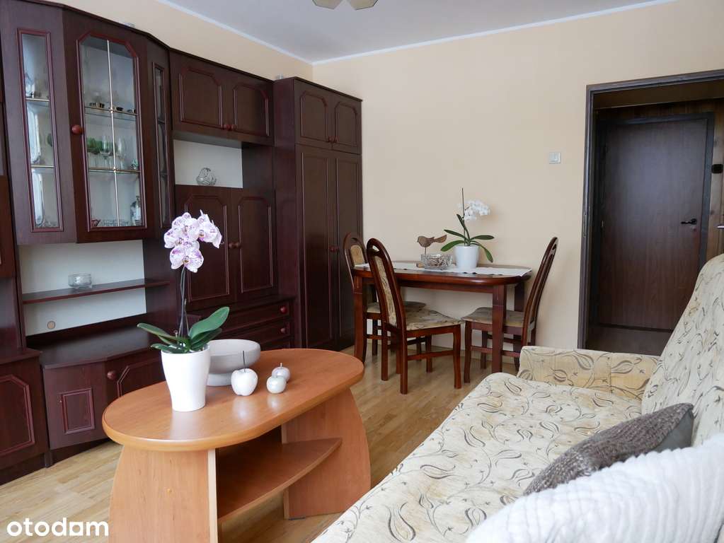 Dwupokojowe mieszkanie w centrum miasta Tychy-2