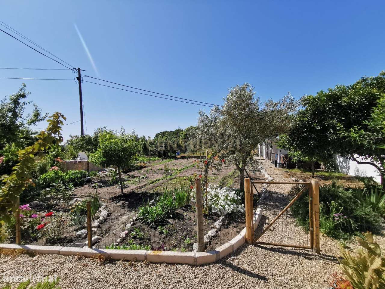 Casa T3 em Couço, Coruche - Oportunidade Única!-16