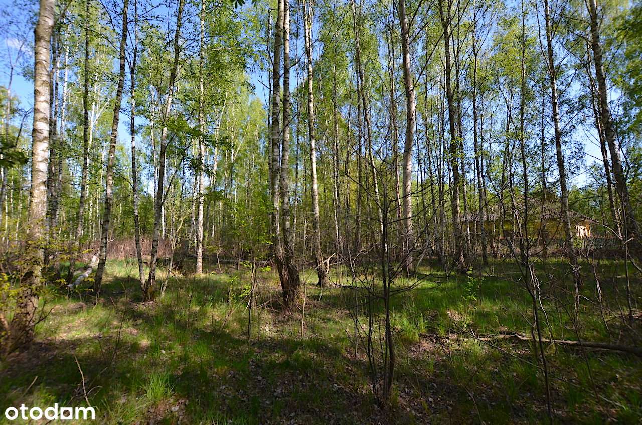 Działka budowlana 2000 m2 / Adamów-Parcel-4
