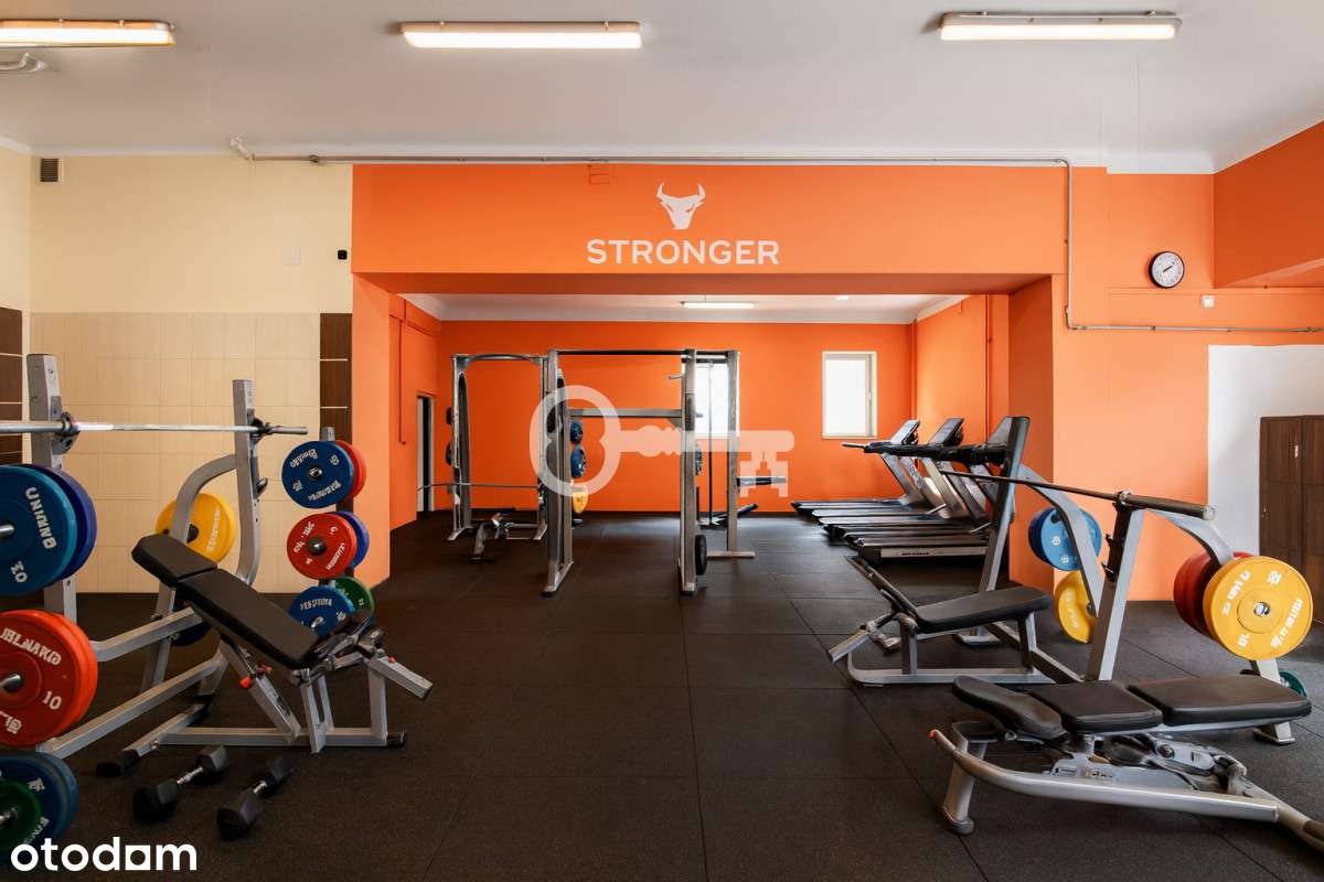 3 lokal użytkowe | osobne wejścia | najemca - Pełny obrazek: 4/20