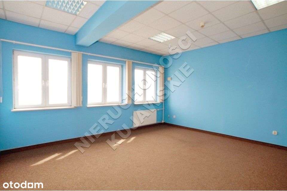 Lokale 215,36m2 handlowo-usługowe, winda, Włocławek-Centrum - Pełny obrazek: 4/8