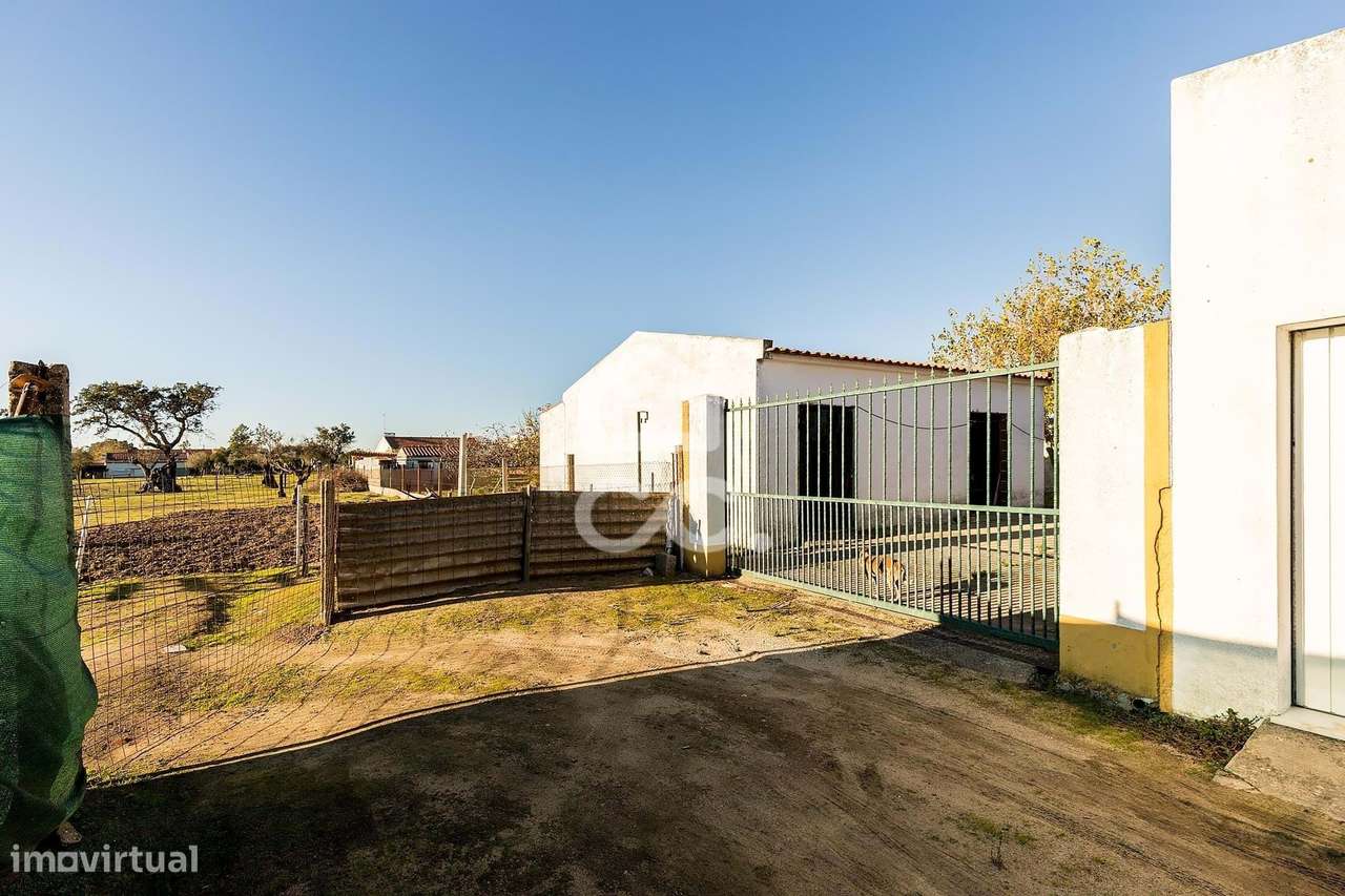Terreno de  1.350 m² c/ Anexo de Apoio Agrícola | Canaviais, Évora - Grande imagem: 5/46
