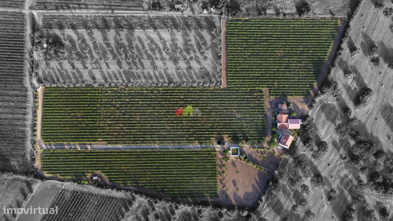 Quinta junto ao Grande Lago "ALQUEVA" - Grande imagem: 2/60