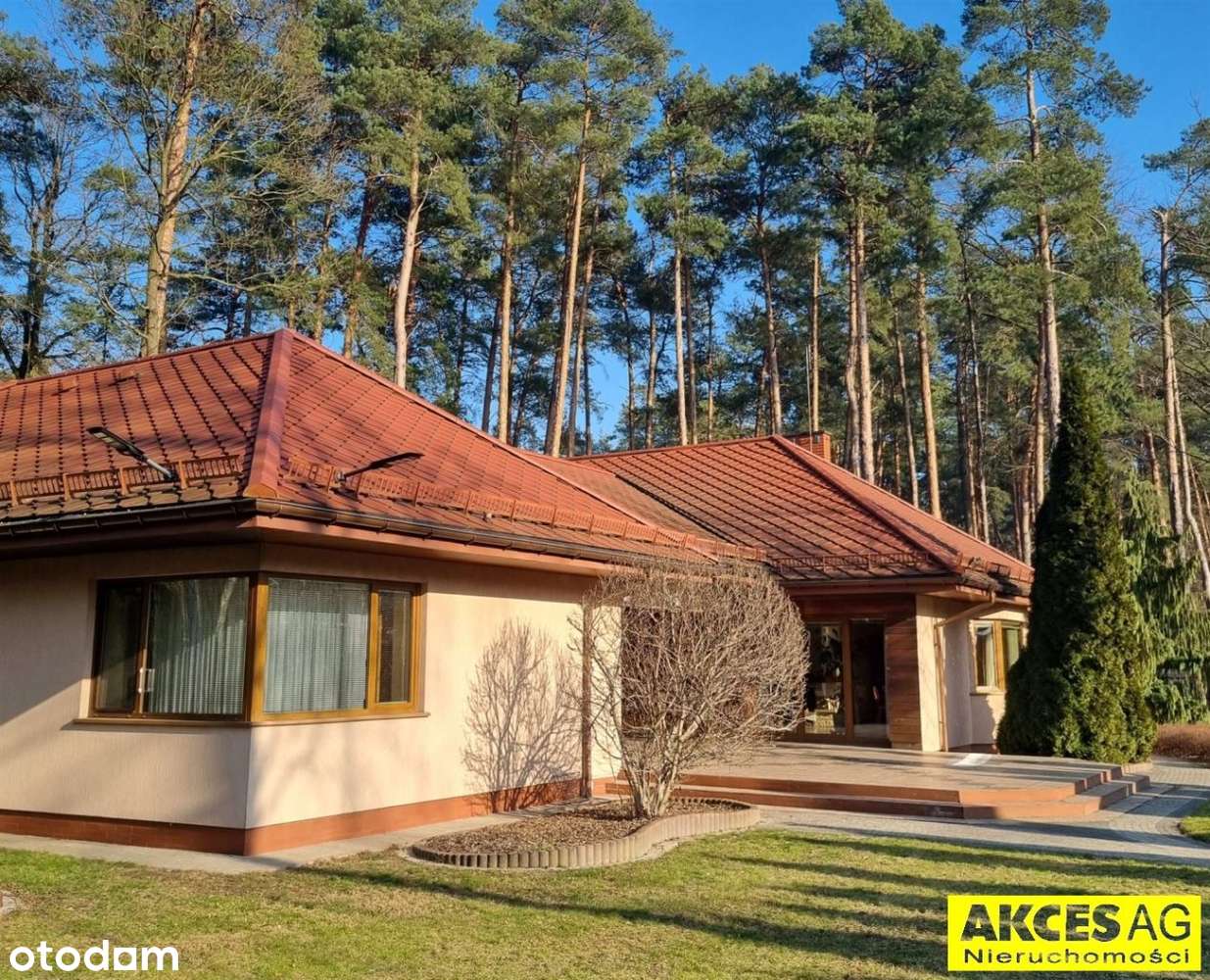 Parterowy, działka 3400 m2, 4 sypialnie, Grotniki - Pełny obrazek: 5/20