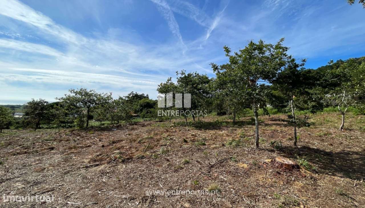 Venda de fantástico terreno para construção, Areosa, Viana do Caste - Grande imagem: 3/30