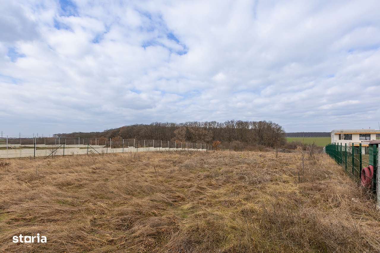 Balotești – teren intravilan cu priveliște superbă, 500–1200 mp-8