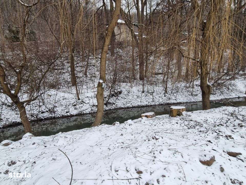 Hemeius- Teren cu deschidere la padure si parau. Cu salcie la mal!-2