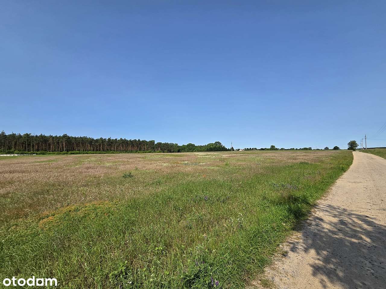 Kompleks działek w okolicy Jeziora Jankowskiego - Pełny obrazek: 3/12