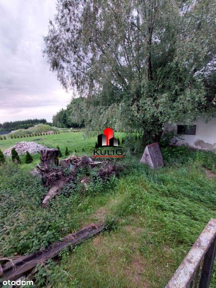 Pielgrzymowice dom 90m2 z działką 8ar - Pełny obrazek: 5/11