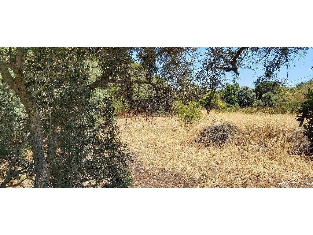 Terreno rústico, em zona agrícola, Albufeira, Algarve - Grande imagem: 4/36