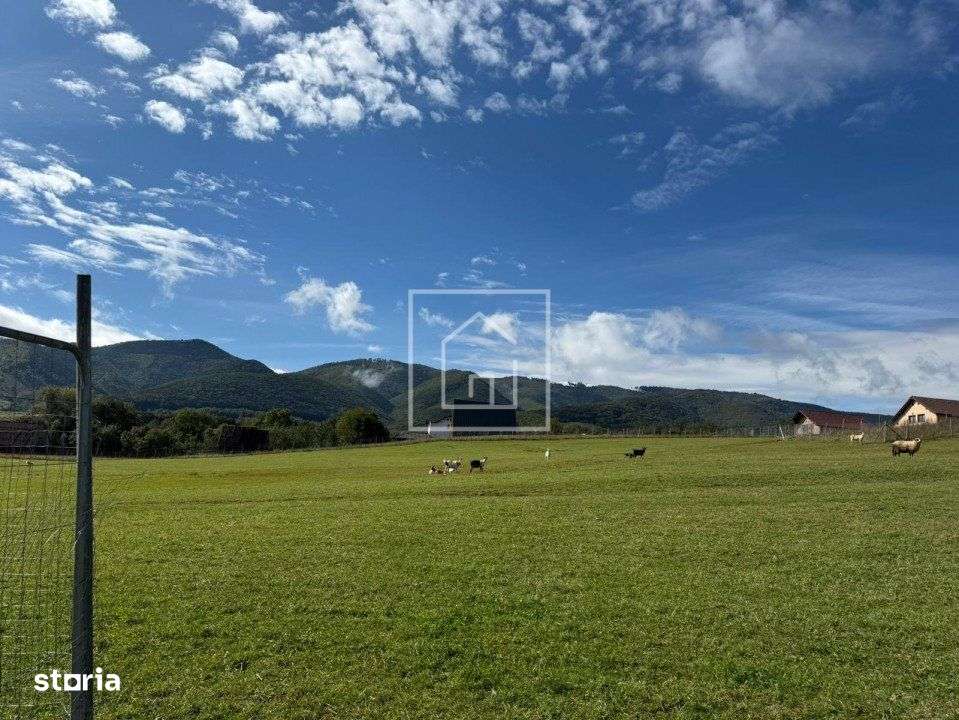 Teren intravilan 2020 mp cu deschidere 24 ml in zona Tocile - Imagine principală: 5/7