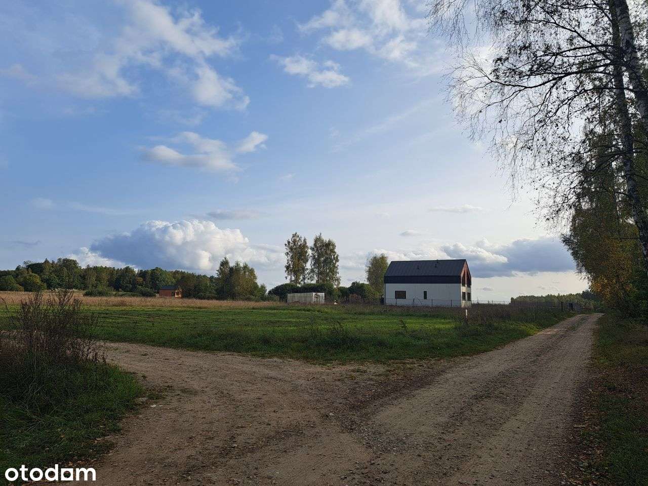Działka 1006 m kw. - Szczodrowo - Pełny obrazek: 5/6