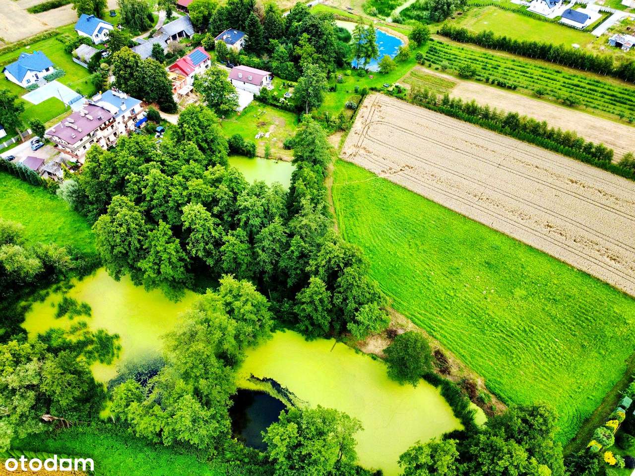 Wyjątkowa działka 81 ar | Przybysławice | staw, zieleń, media, MPZP-9