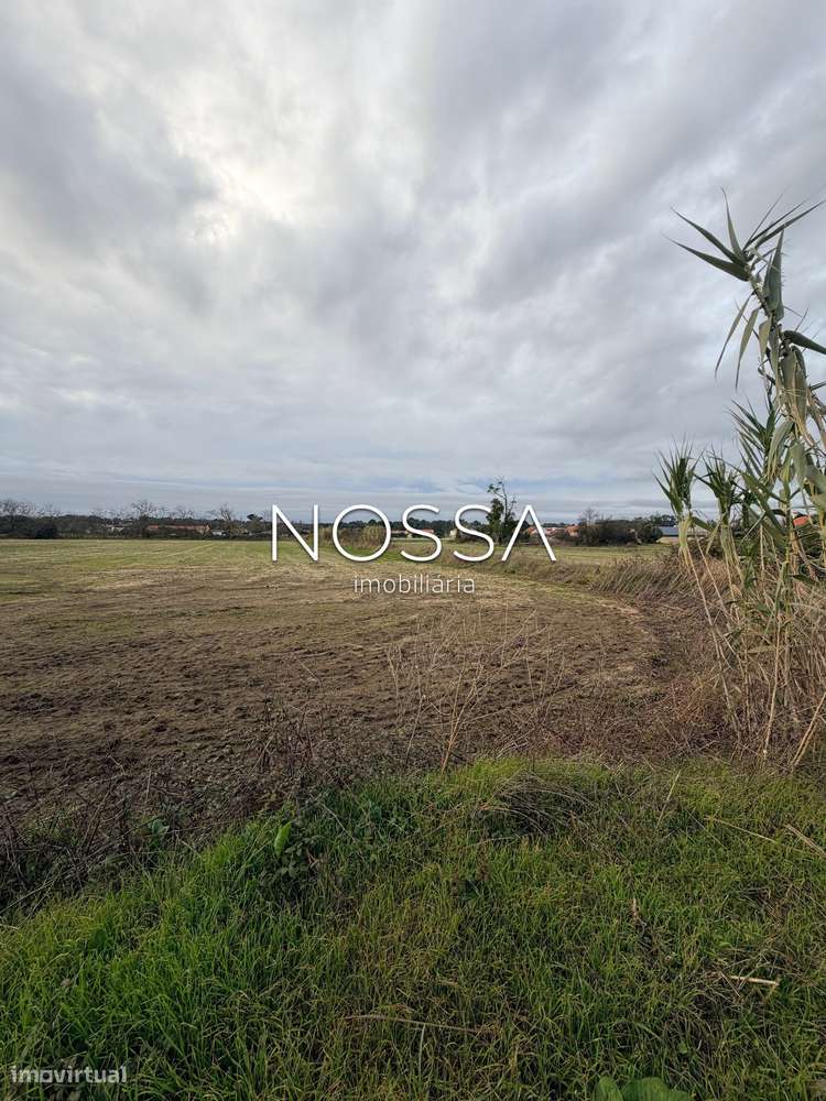 Terreno Misto de 26.520 m² na Barra Cheia – Potencial, Natureza e L...-12