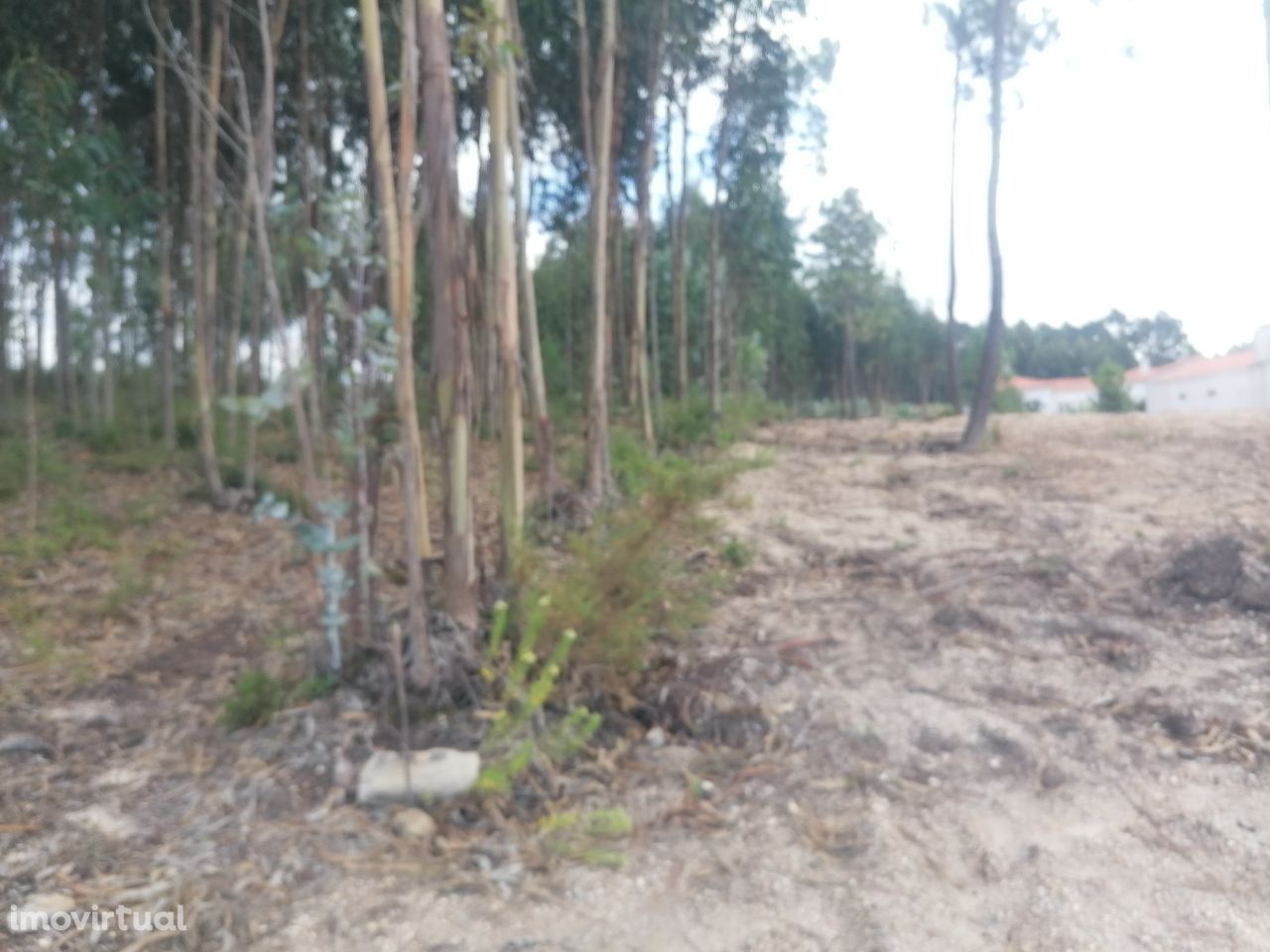 Terreno Alto do seixo Valado dos Frades -Nazaré para construção