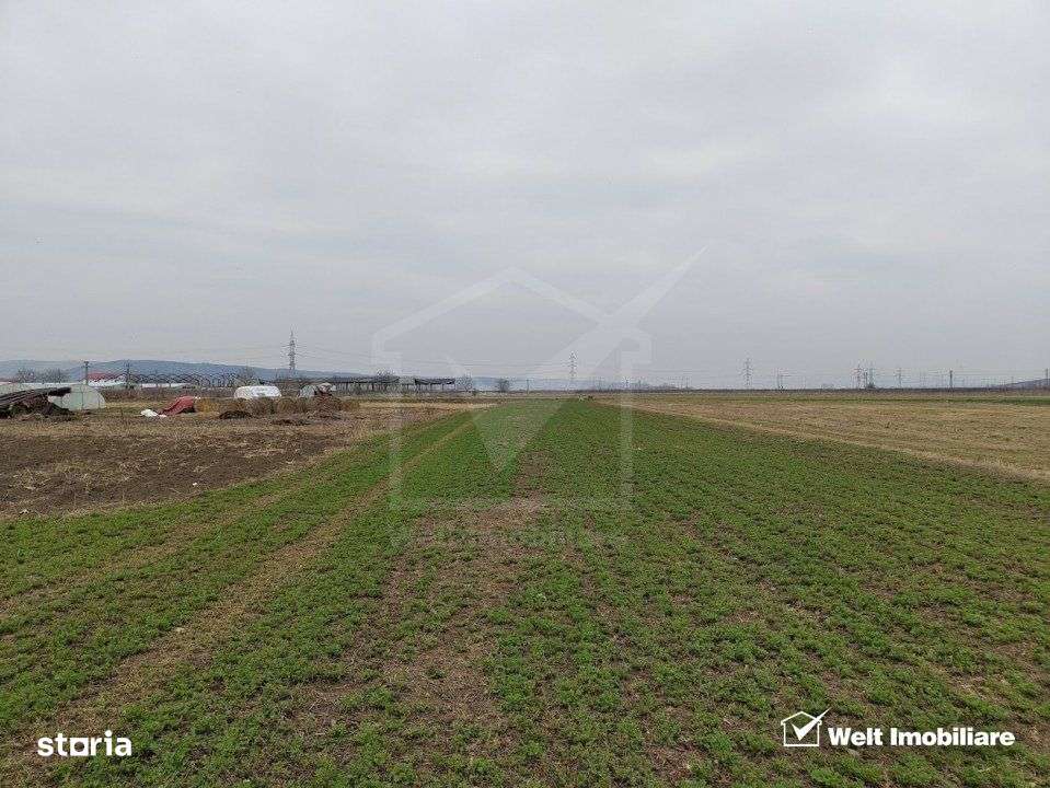 Teren industrial 4175mp, Apahida - Imagine principală: 1/3