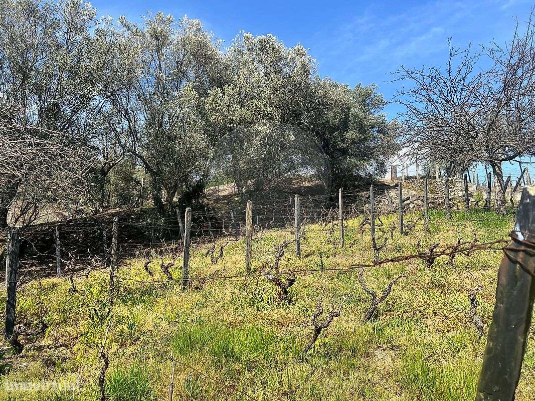 Terreno  para venda - Grande imagem: 5/9