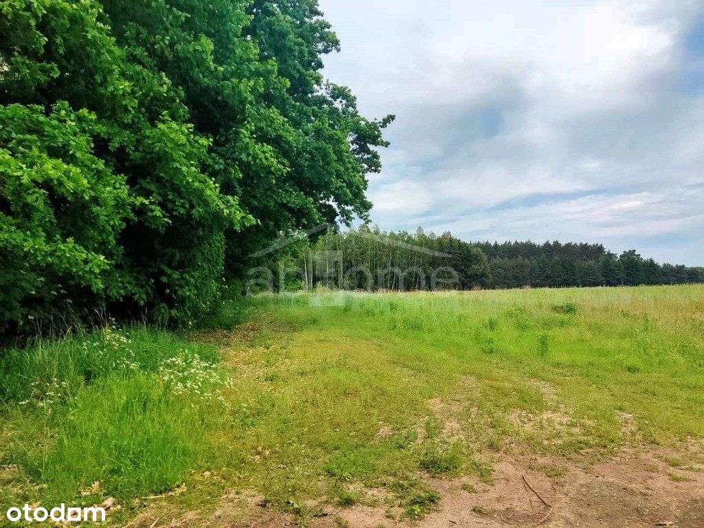 Kobylanka: działka z planem zagospodar. pod lasem-5