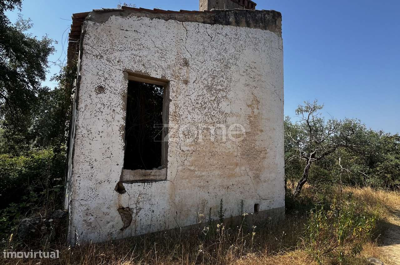 Terreno de 23 hectares – SOBRAL DO CAMPO - Potencial Construção - Grande imagem: 5/26