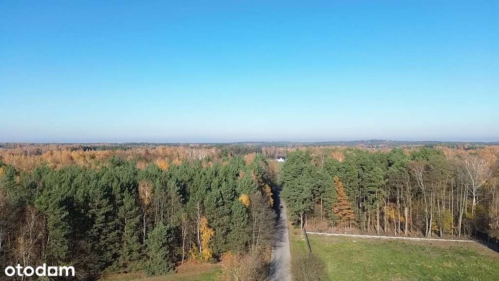 Przestrzeń na budowę wymarzonego domu! - Pełny obrazek: 4/5