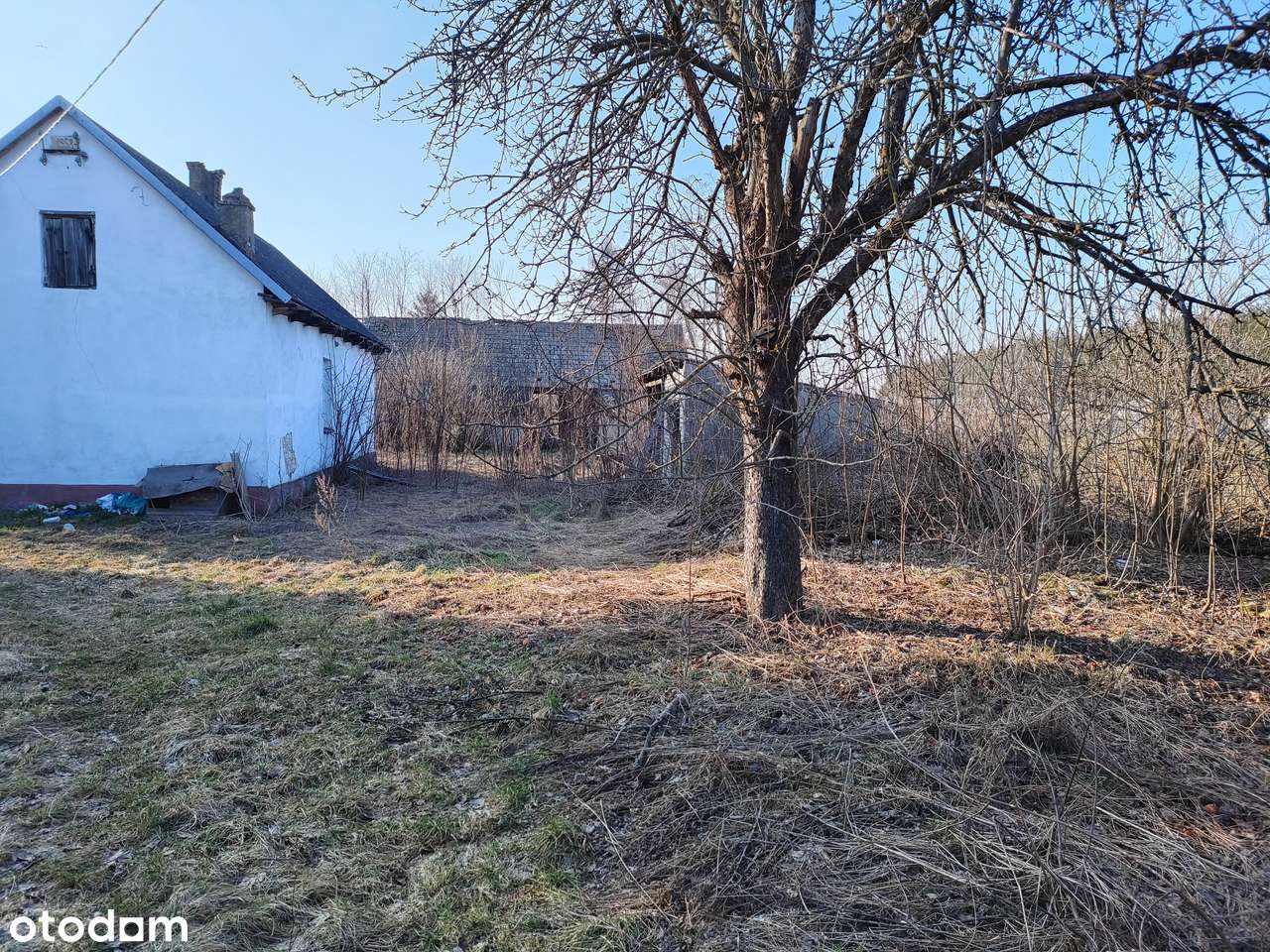 Dom , garaż , stodoła , budynek gospodarczy działka 4200m2 kanalizacja-7